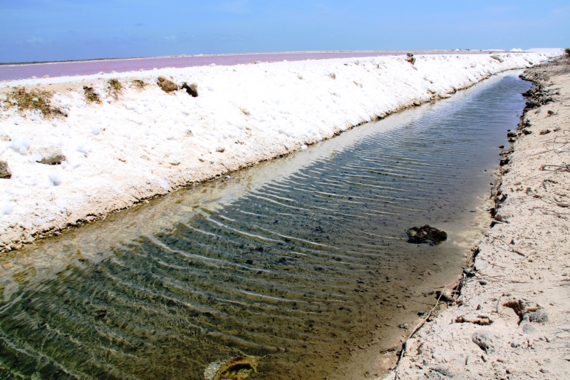 Bonaire (35)