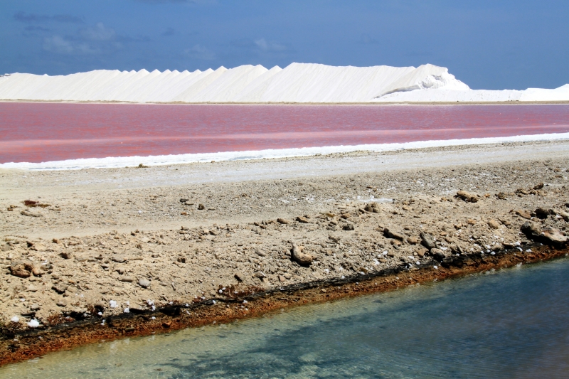 Bonaire (36)