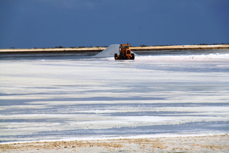 Bonaire (42)