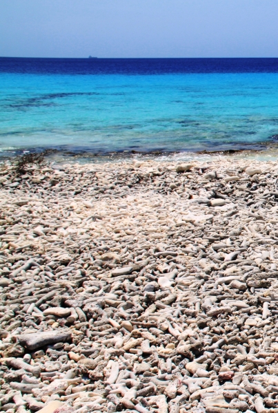 Bonaire (49)