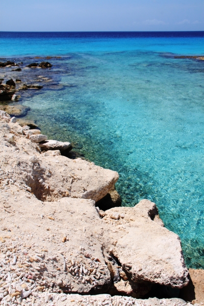 Bonaire (50)