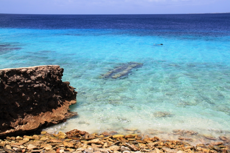 Bonaire (51)