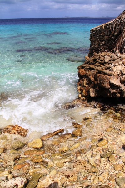 Bonaire (52)