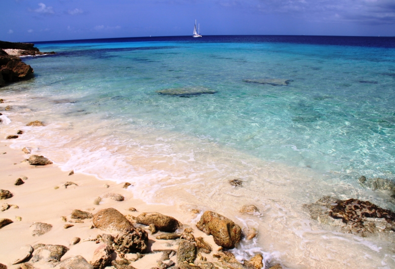 Bonaire (59)