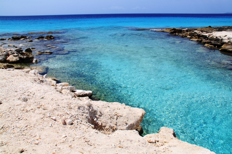 Bonaire (60)
