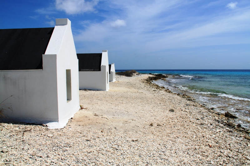 Bonaire (7)