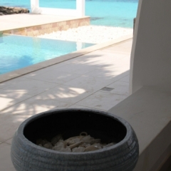 Bonaire (12)
