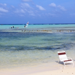 Bonaire (15)