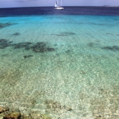 Bonaire (17)