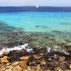 Bonaire (18)
