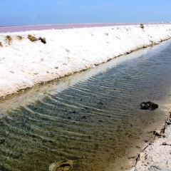 Bonaire (35)
