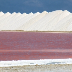 Bonaire (37)