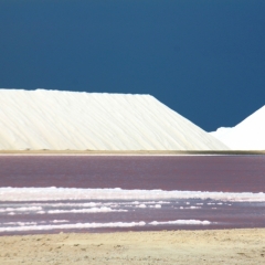 Bonaire (39)