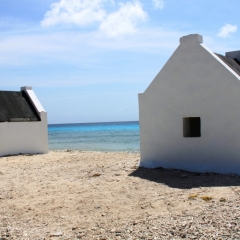 Bonaire (4)