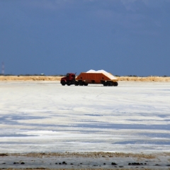 Bonaire (41)