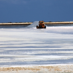 Bonaire (42)