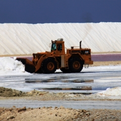 Bonaire (43)