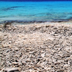 Bonaire (49)