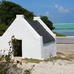 Bonaire (8)