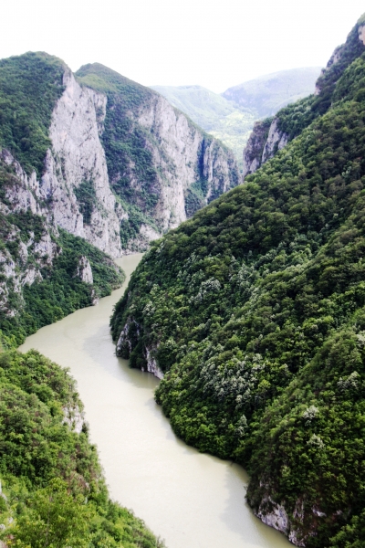 Bosnië & Herzegovina (19)