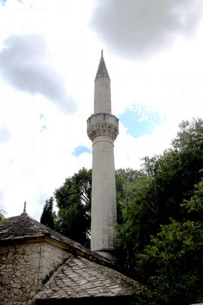 Bosnië & Herzegovina (31)