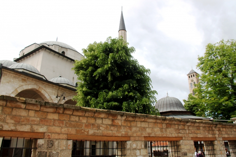 Bosnië & Herzegovina (40)