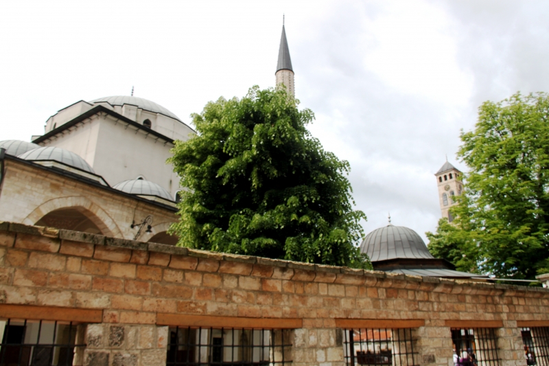 Bosnië & Herzegovina (44)