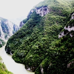 Bosnië & Herzegovina (20)