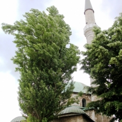 Bosnië & Herzegovina (37)