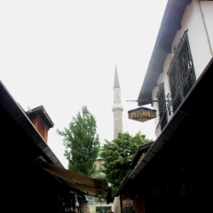 Bosnië & Herzegovina (43)