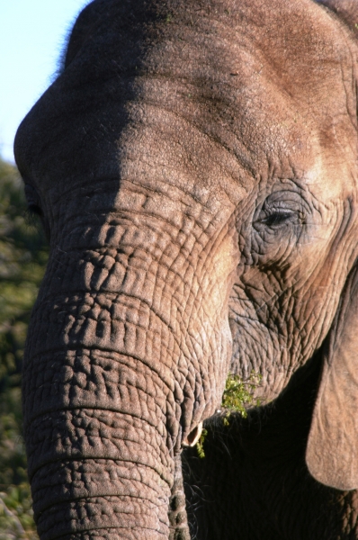 Botswana (58)