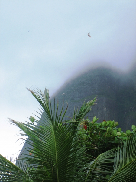Brazilie (3)