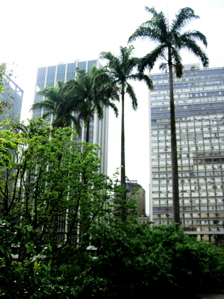 Brazilie (31)