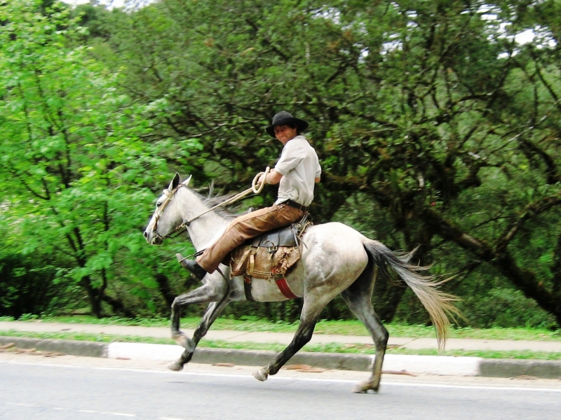 Brazilie (56)