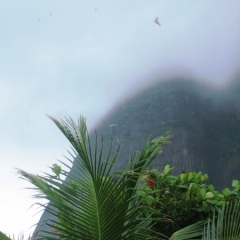 Brazilie (3)