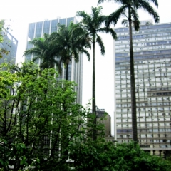 Brazilie (31)