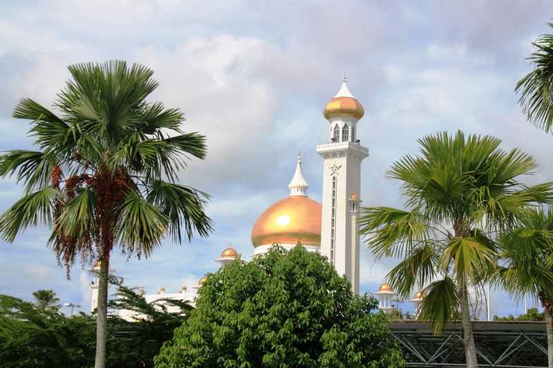 Brunei (3)