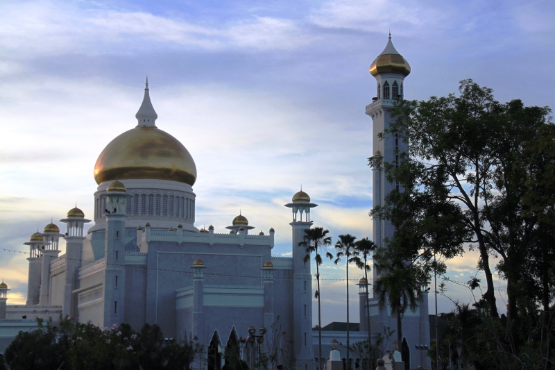 Brunei (8)