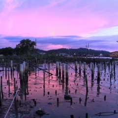 Brunei (38)
