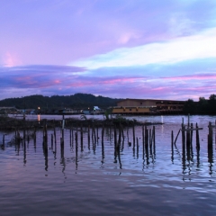 Brunei (39)