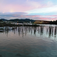 Brunei (43)