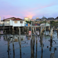Brunei (48)