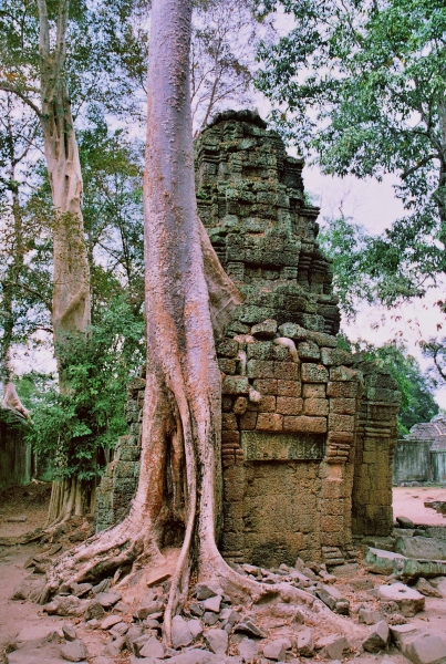 Cambodja (5)