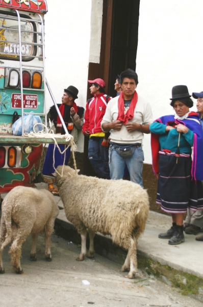 Centraal Colombia (236)