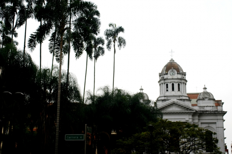 Centraal Colombia (249)