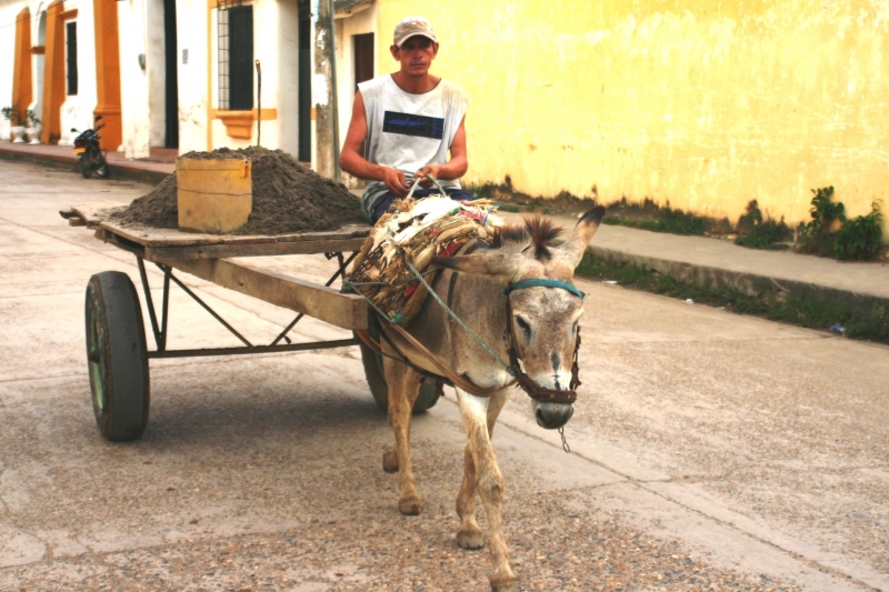 Centraal Colombia (88)