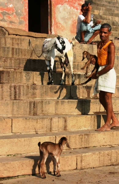 Centraal Oost India (100)