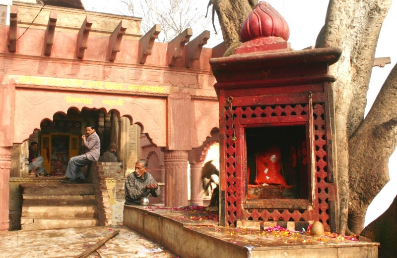 Centraal Oost India (54)