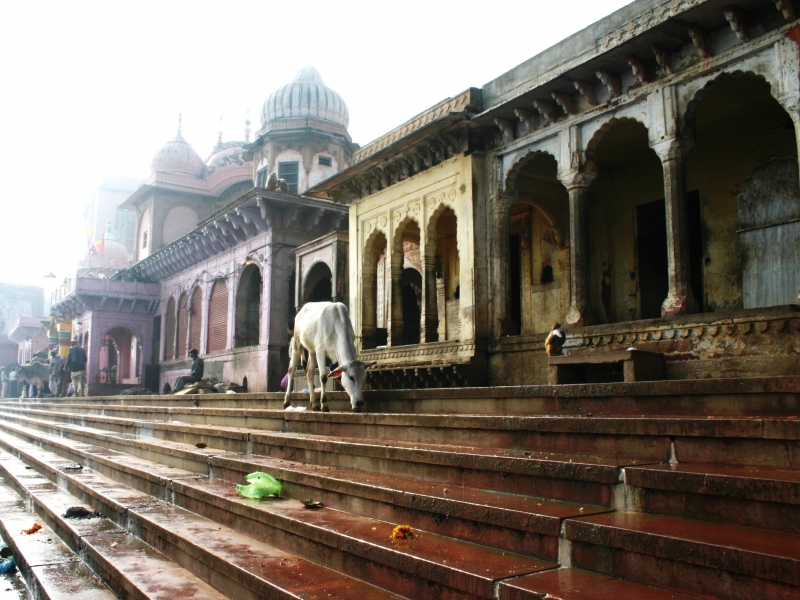 Centraal Oost India (56)