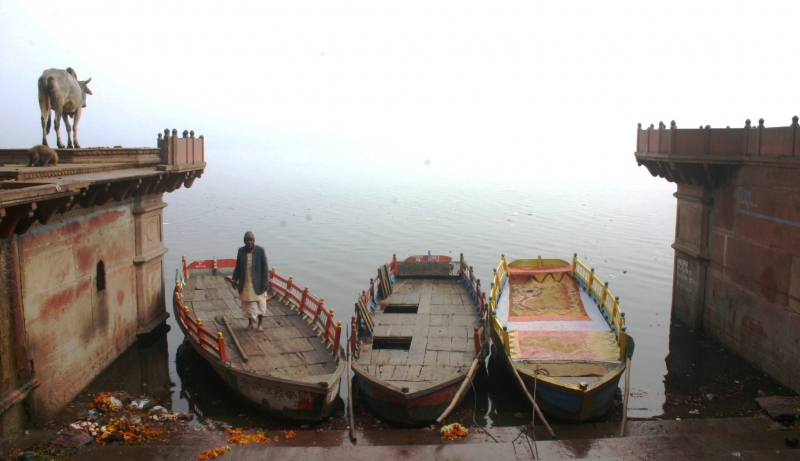 Centraal Oost India (78)